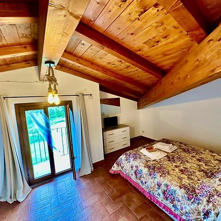 Villa Tuscia Apartments 托斯卡纳 外观 照片